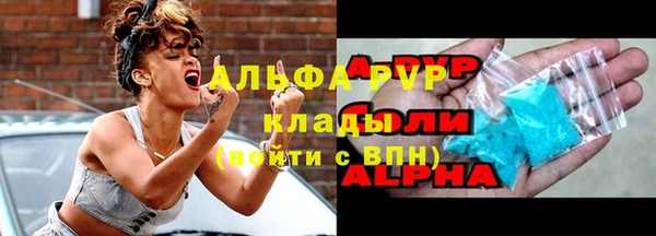 СК Алексин