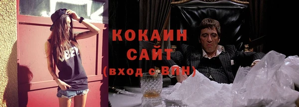 СК Алексин