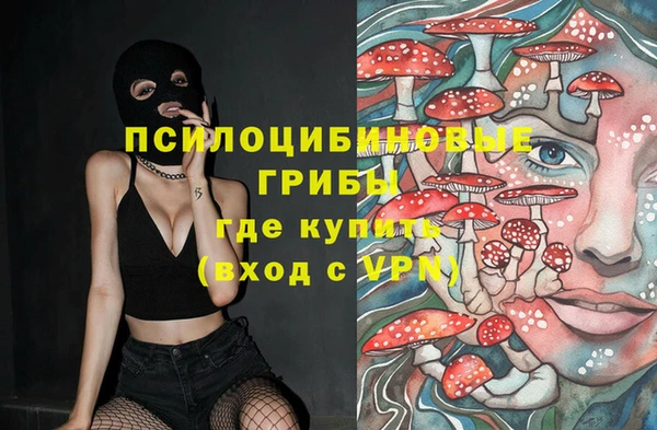 СК Алексин