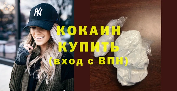 СК Алексин