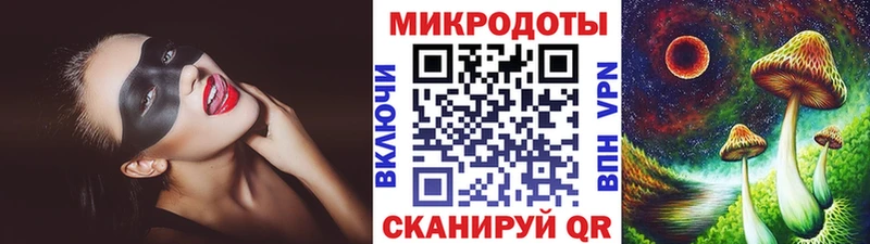 купить   Неман  Галлюциногенные грибы Psilocybine cubensis 